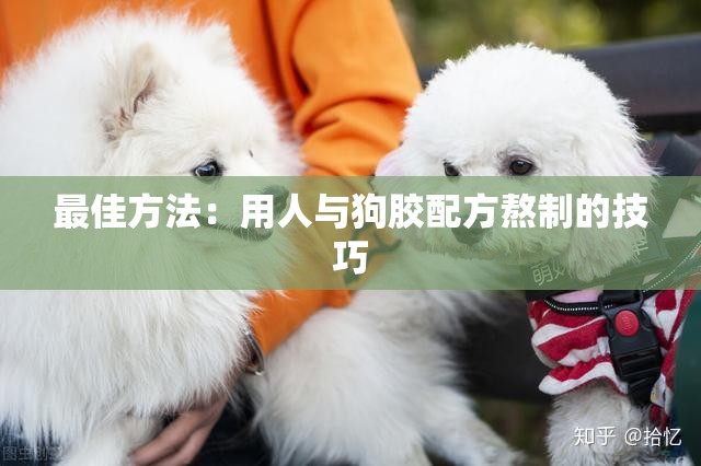 最佳方法：用人与狗胶配方熬制的技巧