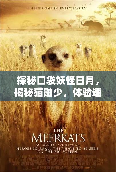 探秘口袋妖怪日月，揭秘猫鼬少，体验速度与激情的完美化身