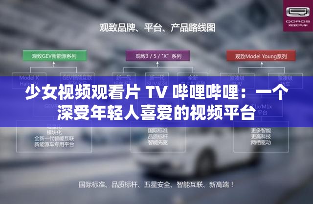 少女视频观看片 TV 哔哩哔哩：一个深受年轻人喜爱的视频平台