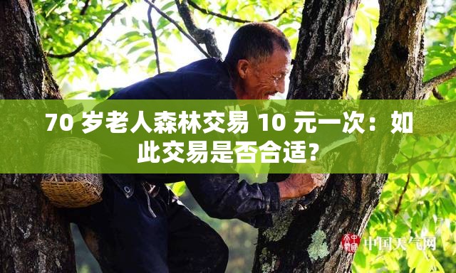 70 岁老人森林交易 10 元一次：如此交易是否合适？