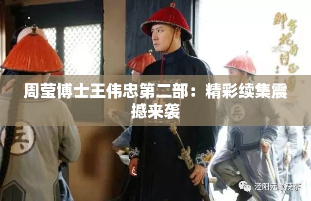 周莹博士王伟忠第二部：精彩续集震撼来袭