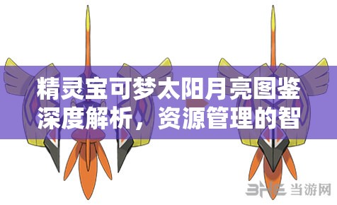 精灵宝可梦太阳月亮图鉴深度解析，资源管理的智慧策略与实践