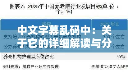 中文字幕乱码中：关于它的详细解读与分析