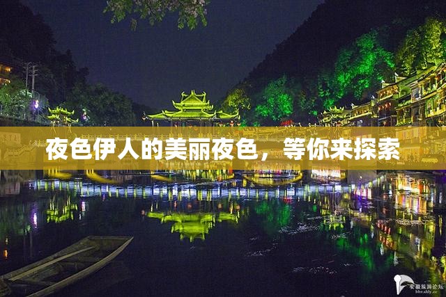 夜色伊人的美丽夜色，等你来探索