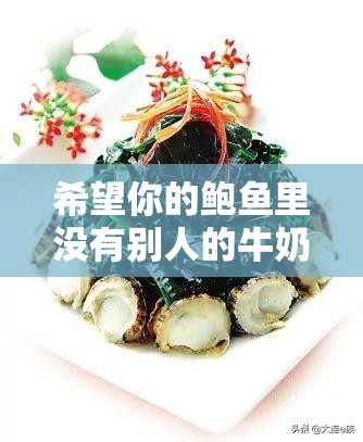 希望你的鲍鱼里没有别人的牛奶：愿这份美好独属于你