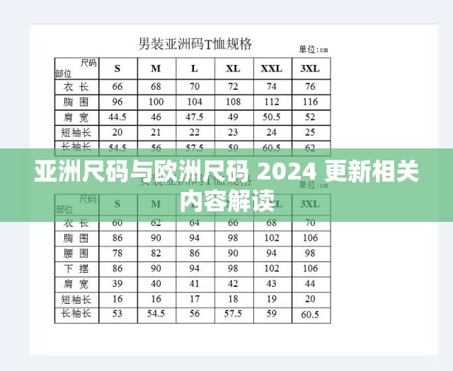 亚洲尺码与欧洲尺码 2024 更新相关内容解读