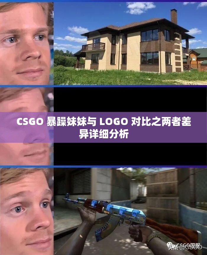 CSGO 暴躁妹妹与 LOGO 对比之两者差异详细分析