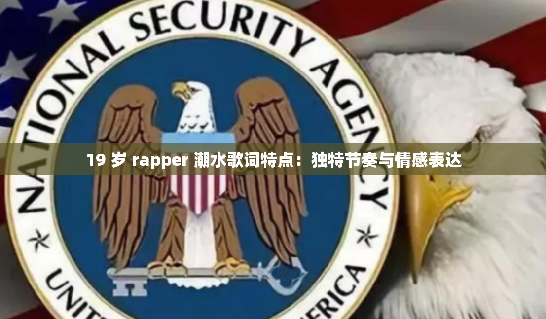 19 岁 rapper 潮水歌词特点：独特节奏与情感表达