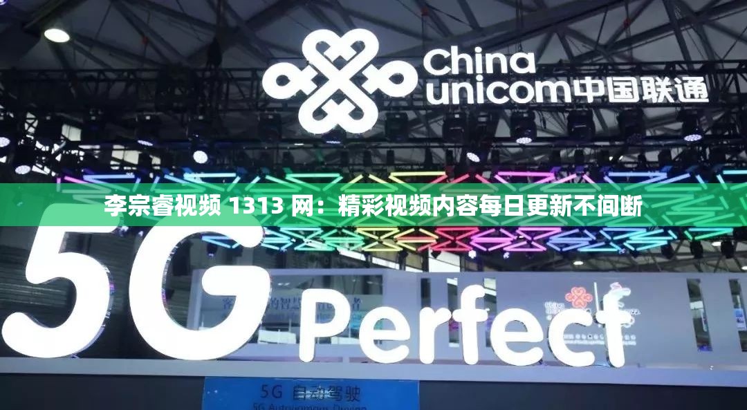 李宗睿视频 1313 网：精彩视频内容每日更新不间断