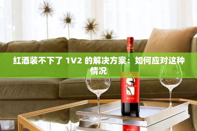 红酒装不下了 1V2 的解决方案：如何应对这种情况