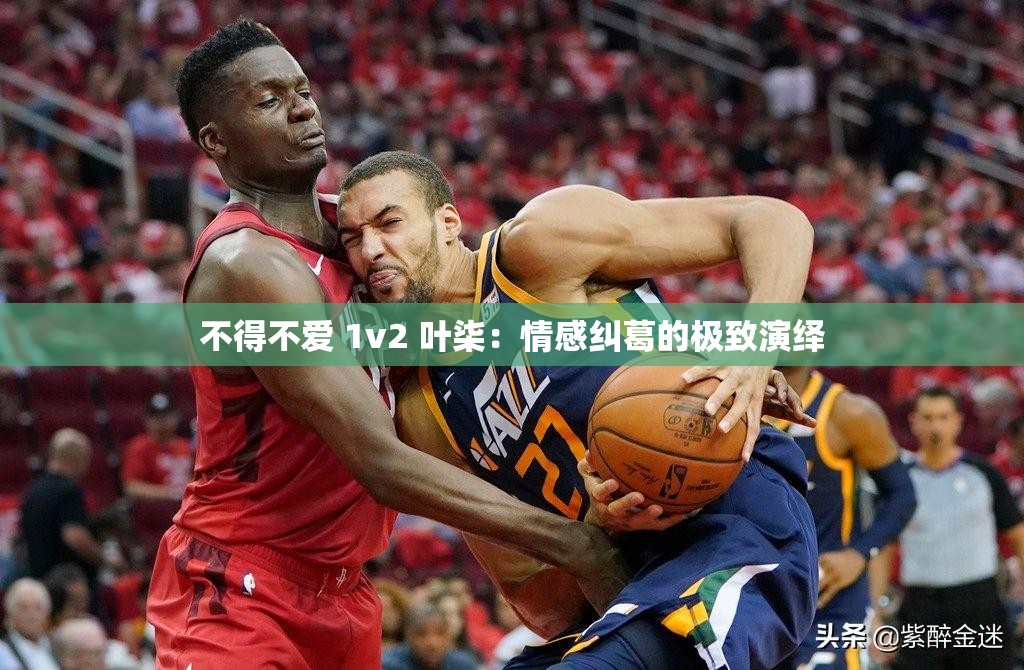 不得不爱 1v2 叶柒：情感纠葛的极致演绎