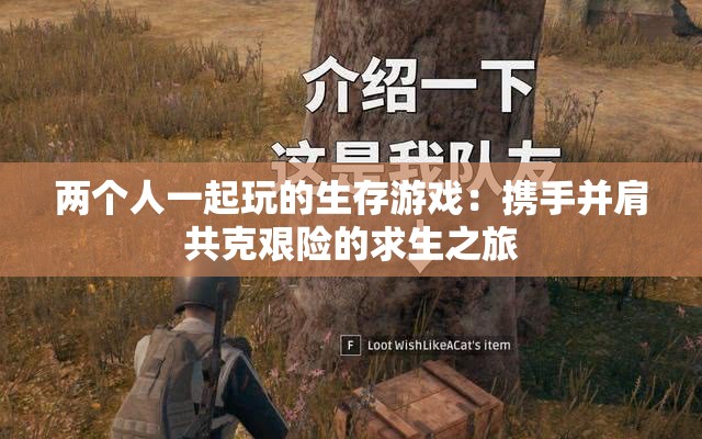 两个人一起玩的生存游戏：携手并肩共克艰险的求生之旅