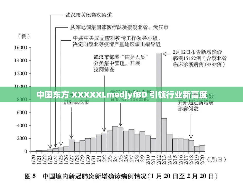 中国东方 XXXXXLmedjyfBD 引领行业新高度