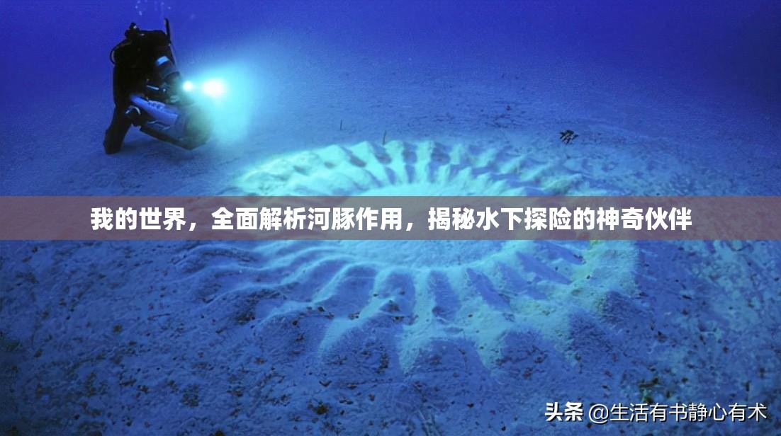 我的世界，全面解析河豚作用，揭秘水下探险的神奇伙伴