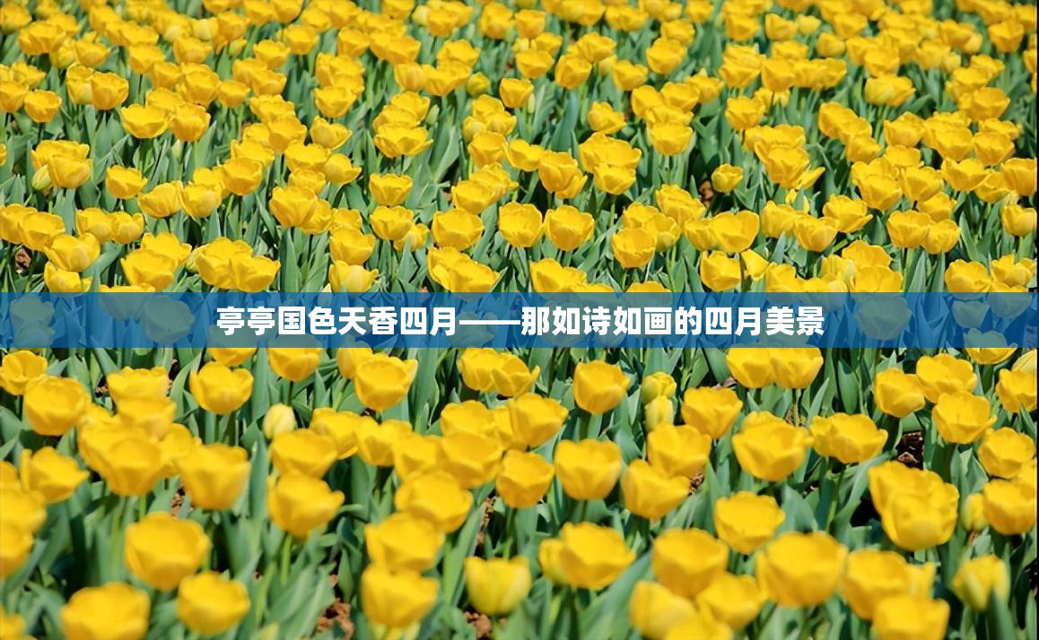 亭亭国色天香四月——那如诗如画的四月美景