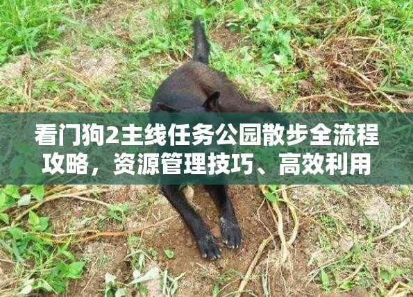 看门狗2主线任务公园散步全流程攻略，资源管理技巧、高效利用策略及避免浪费指南