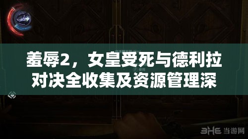 羞辱2，女皇受死与德利拉对决全收集及资源管理深度攻略解析