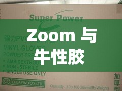 Zoom 与牛性胶 ZOOm 深度对比分析及应用场景探讨