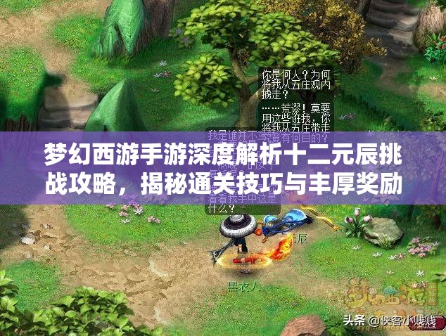 梦幻西游手游深度解析十二元辰挑战攻略，揭秘通关技巧与丰厚奖励获取秘籍