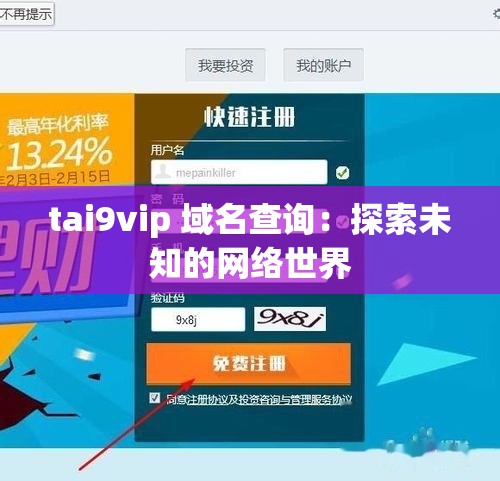 tai9vip 域名查询：探索未知的网络世界