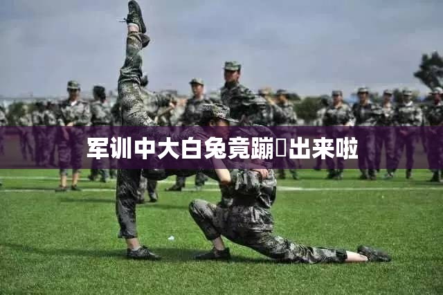 军训中大白兔竟蹦跶出来啦