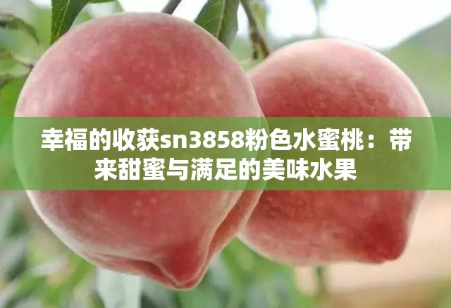 幸福的收获sn3858粉色水蜜桃：带来甜蜜与满足的美味水果