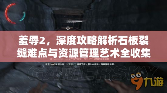 羞辱2，深度攻略解析石板裂缝难点与资源管理艺术全收集指南