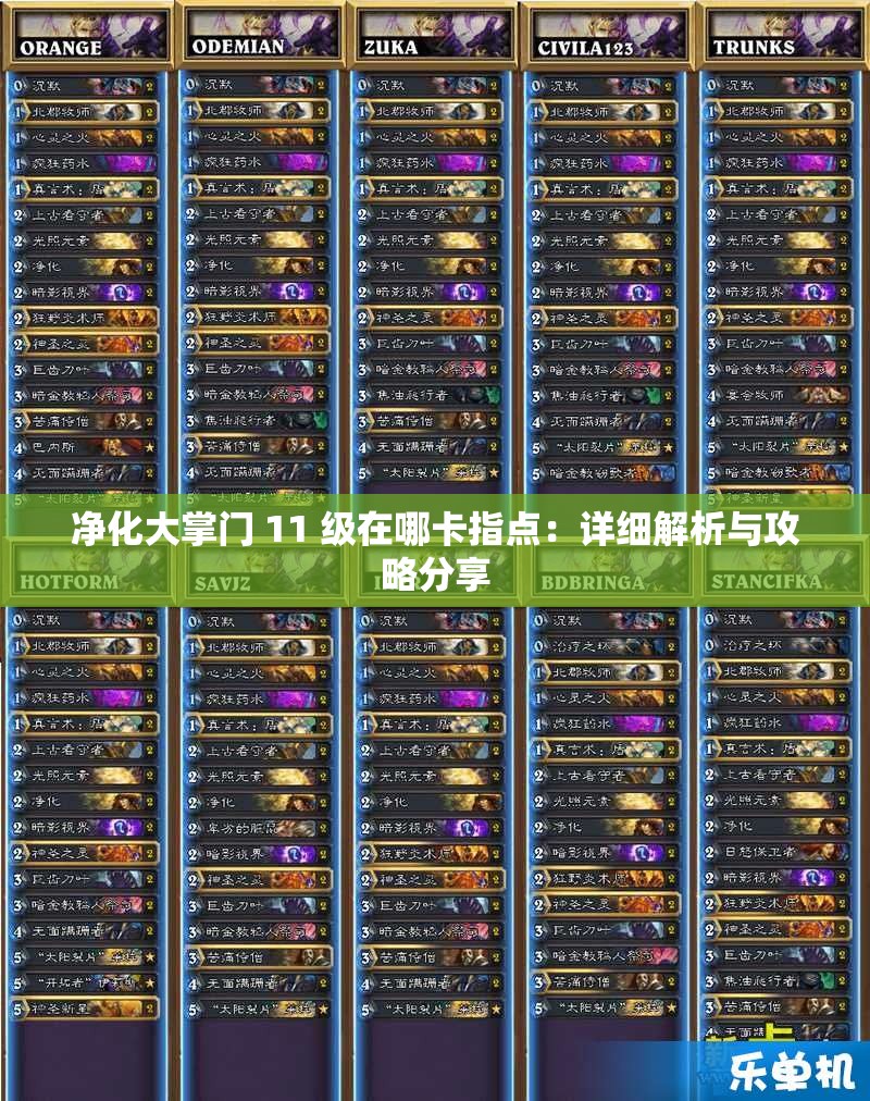 净化大掌门 11 级在哪卡指点：详细解析与攻略分享