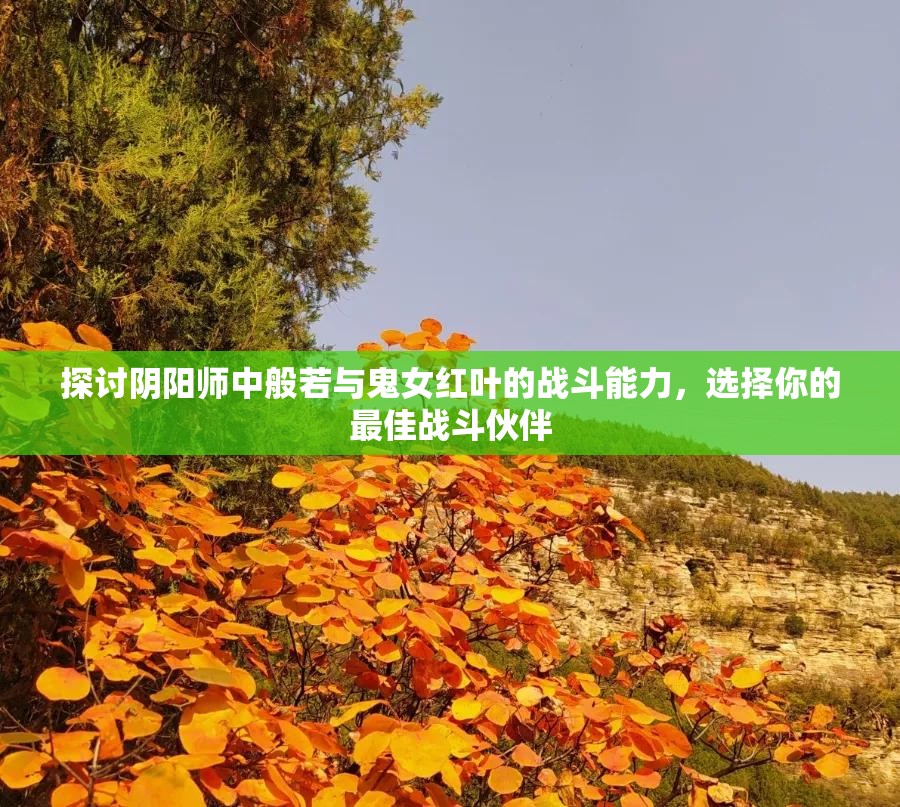 探讨阴阳师中般若与鬼女红叶的战斗能力，选择你的最佳战斗伙伴