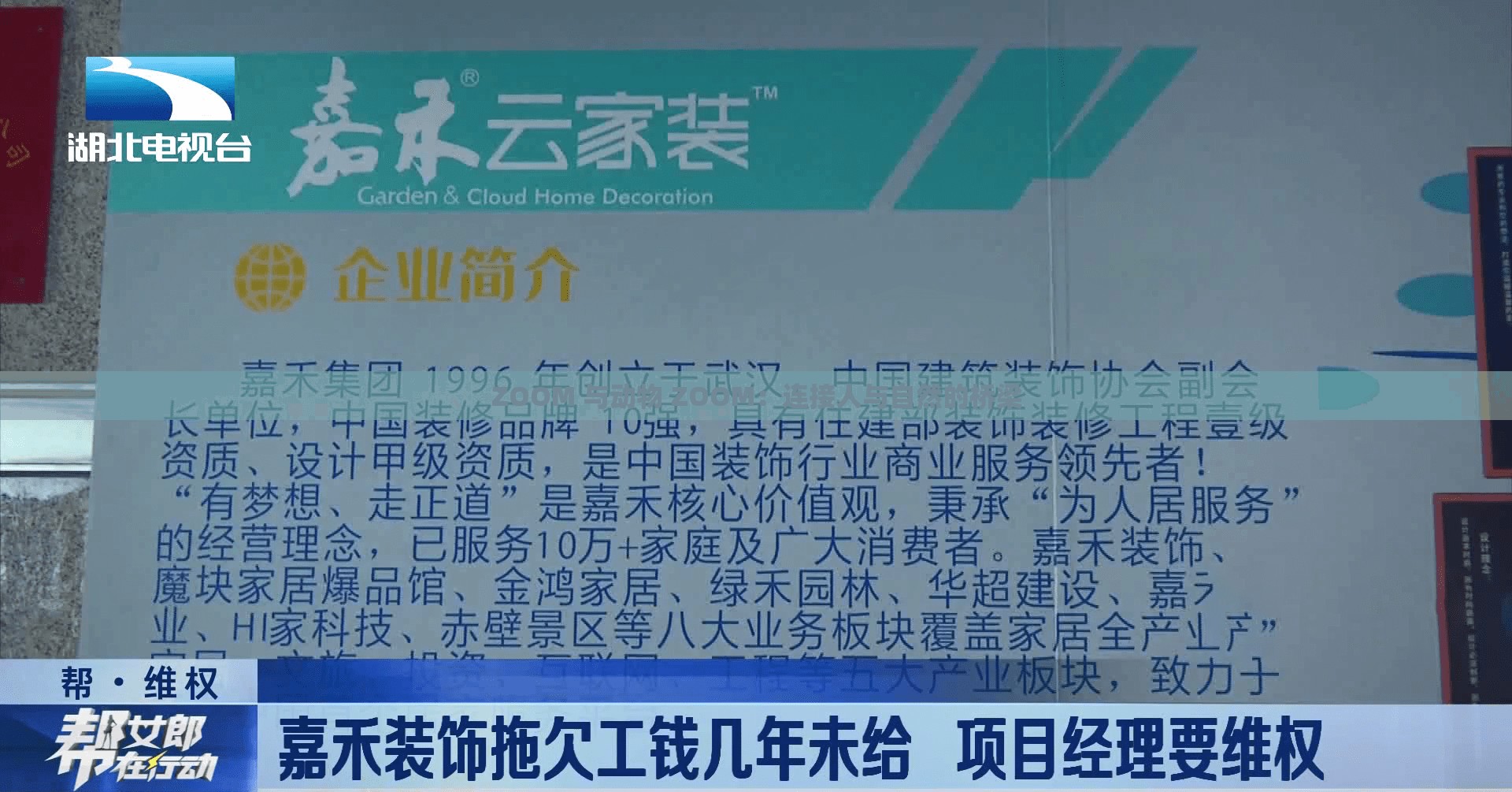 ZOOM 与动物 ZOOM：连接人与自然的桥梁
