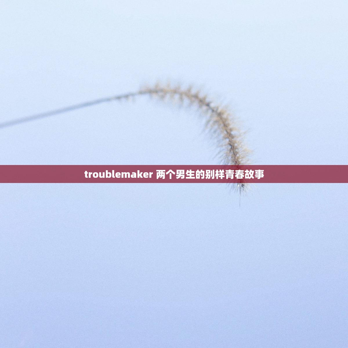 troublemaker 两个男生的别样青春故事