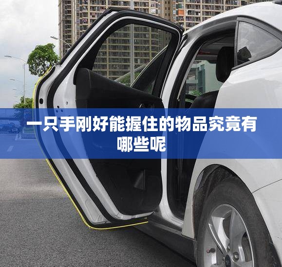 一只手刚好能握住的物品究竟有哪些呢