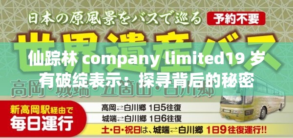 仙踪林 company limited19 岁有破绽表示：探寻背后的秘密