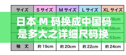 日本 M 码换成中国码是多大之详细尺码换算解析与对比