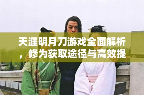 天涯明月刀游戏全面解析，修为获取途径与高效提升攻略