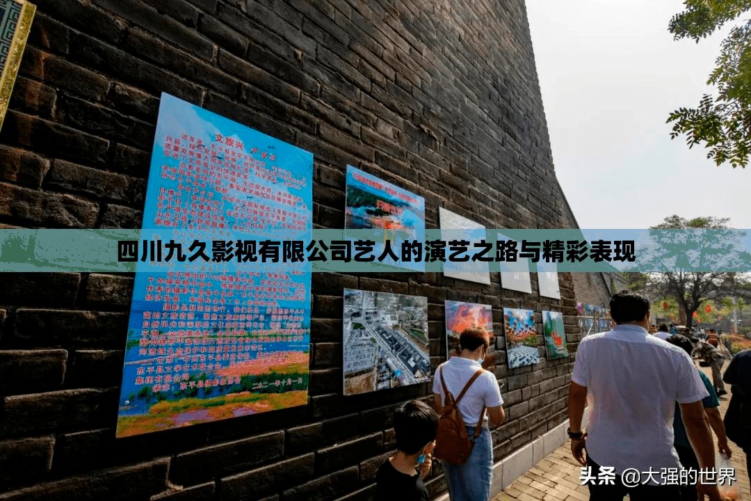 四川九久影视有限公司艺人的演艺之路与精彩表现