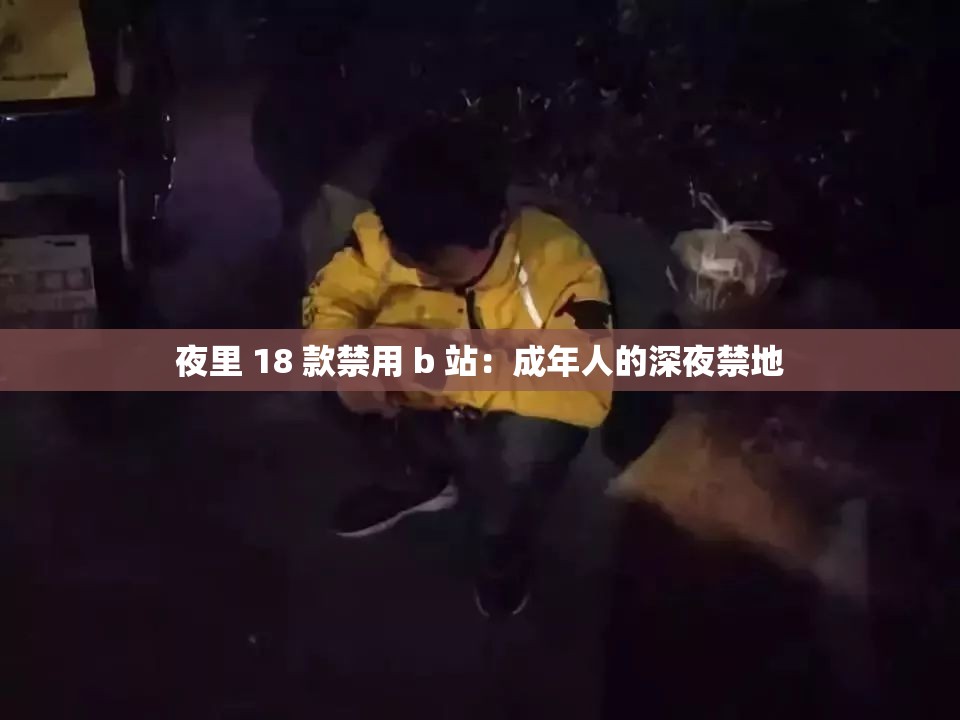 夜里 18 款禁用 b 站：成年人的深夜禁地