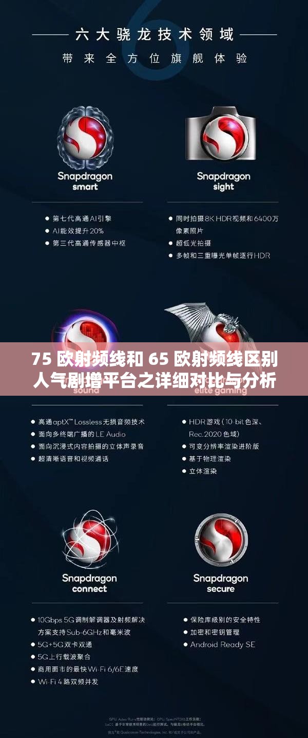 75 欧射频线和 65 欧射频线区别人气剧增平台之详细对比与分析