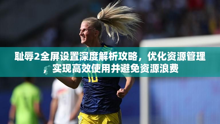 耻辱2全屏设置深度解析攻略，优化资源管理，实现高效使用并避免资源浪费