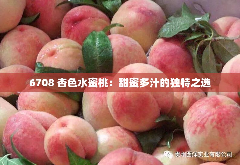 6708 杏色水蜜桃：甜蜜多汁的独特之选
