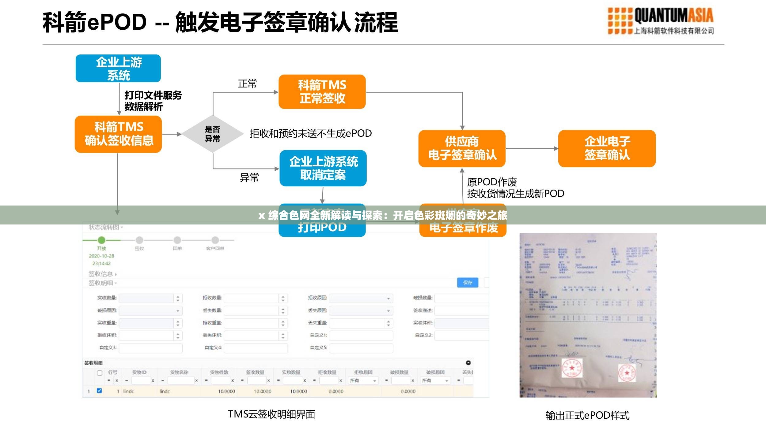 x 综合色网全新解读与探索：开启色彩斑斓的奇妙之旅