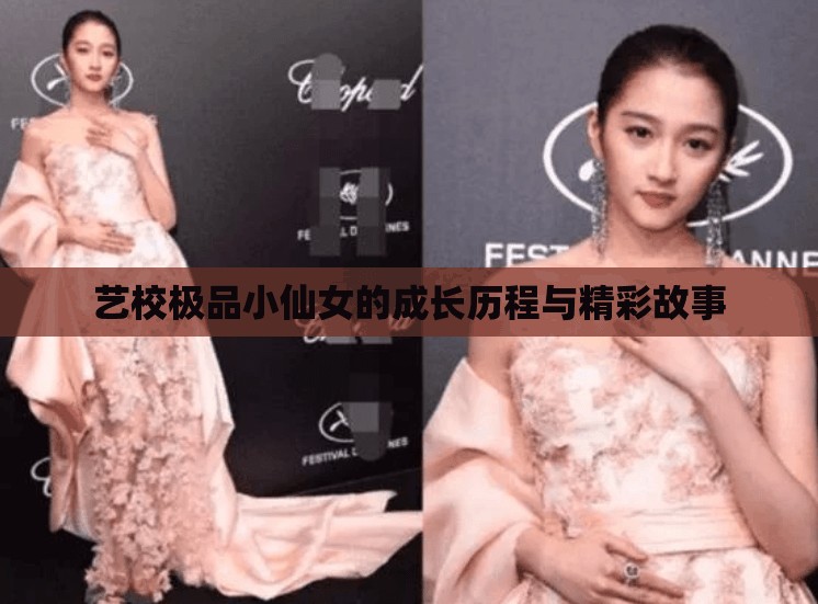 艺校极品小仙女的成长历程与精彩故事