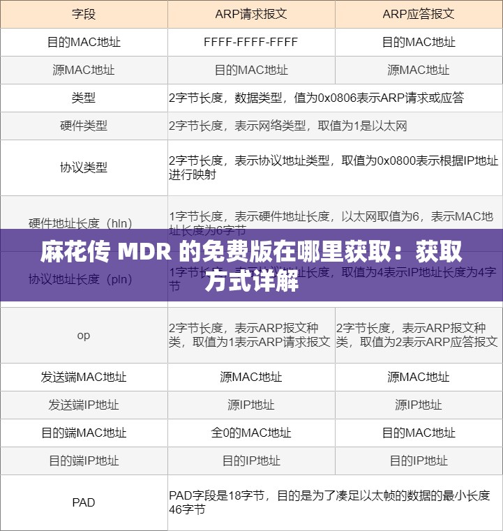麻花传 MDR 的免费版在哪里获取：获取方式详解