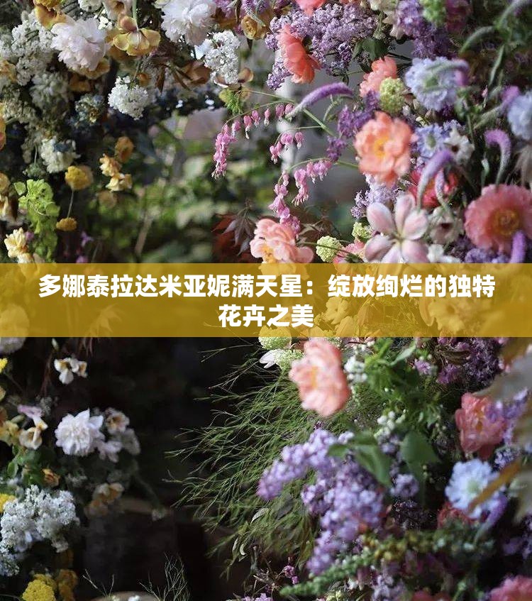 多娜泰拉达米亚妮满天星：绽放绚烂的独特花卉之美