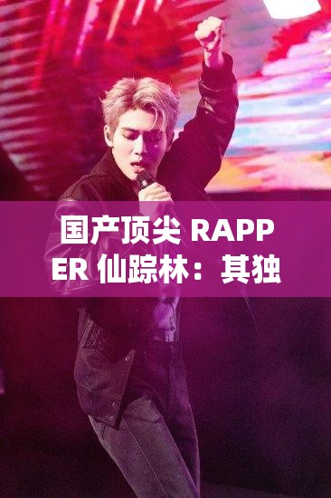 国产顶尖 RAPPER 仙踪林：其独特音乐风格与魅力之路