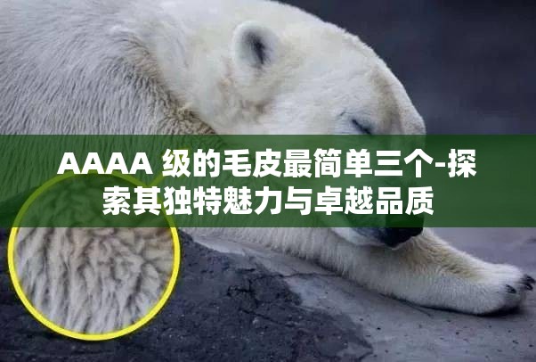 AAAA 级的毛皮最简单三个-探索其独特魅力与卓越品质