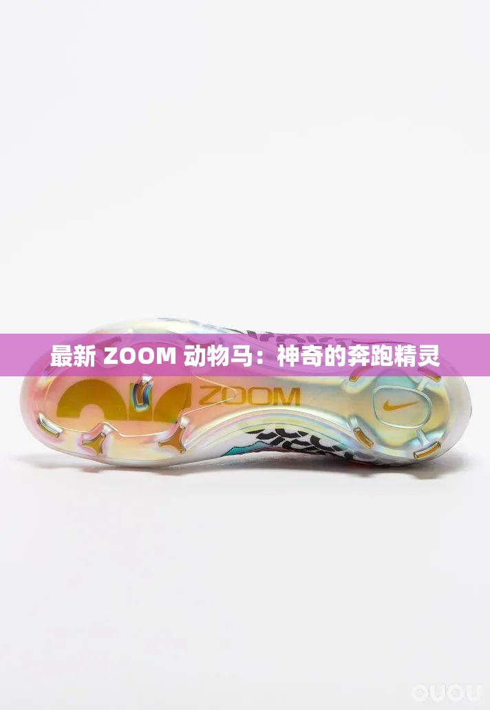 最新 ZOOM 动物马：神奇的奔跑精灵