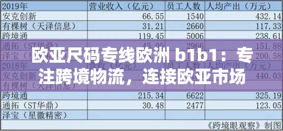 欧亚尺码专线欧洲 b1b1：专注跨境物流，连接欧亚市场