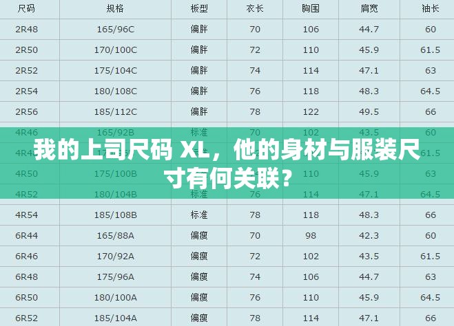 我的上司尺码 XL，他的身材与服装尺寸有何关联？