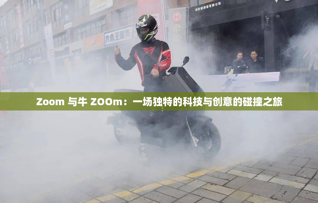 Zoom 与牛 ZOOm：一场独特的科技与创意的碰撞之旅